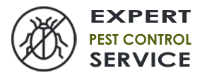 Pro Exterminator Company  Hallandale Beach FL